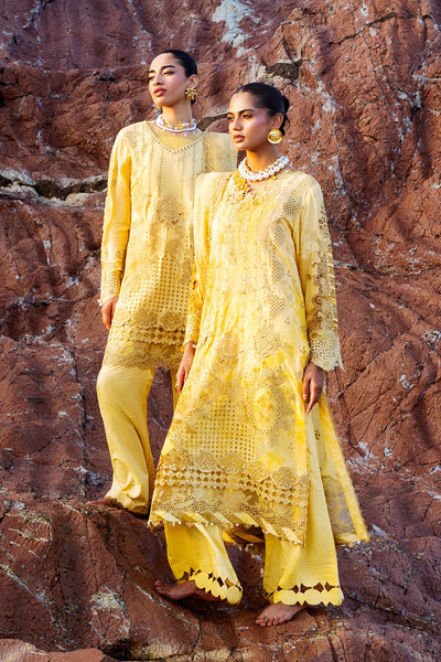 Afsanah | Lost in Waves | A-208