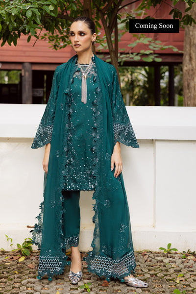 Marjjan | Lovella Winter 25 | MEV-44 B (ZINC)-1
