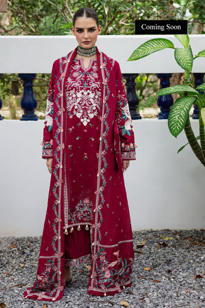 Marjjan | Lovella Winter 25 |MEV-46 A (REDDISH)