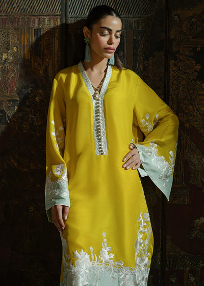 Mahgul | Eid Edit 2024 | Lush Crush -  Mahgul Luxury - Original Designer Dress - House of Maryam