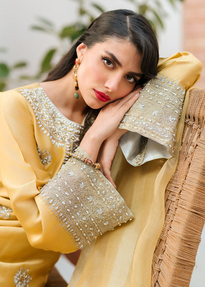 Mahum Asad | Raising The Bar | Bombshell -  Mahum Asad Formal - Original Designer Dress - House of Maryam
