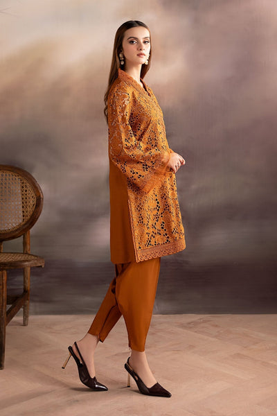 Maria B | RTW | 3 Piece Embroidered Bamber Raw Silk Suit-Brand:Maria B-Type:Luxury Formals-Brown - House of Maryam- Buy in UK, USA