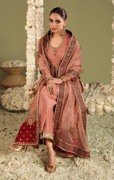 Maya | Jahanara Festive Edit 26 | MEERAS-Brand:Maya-Type:Ladies Clothes-Peach Pink-Cotton Net-House of Maryam- Buy in UK, USA