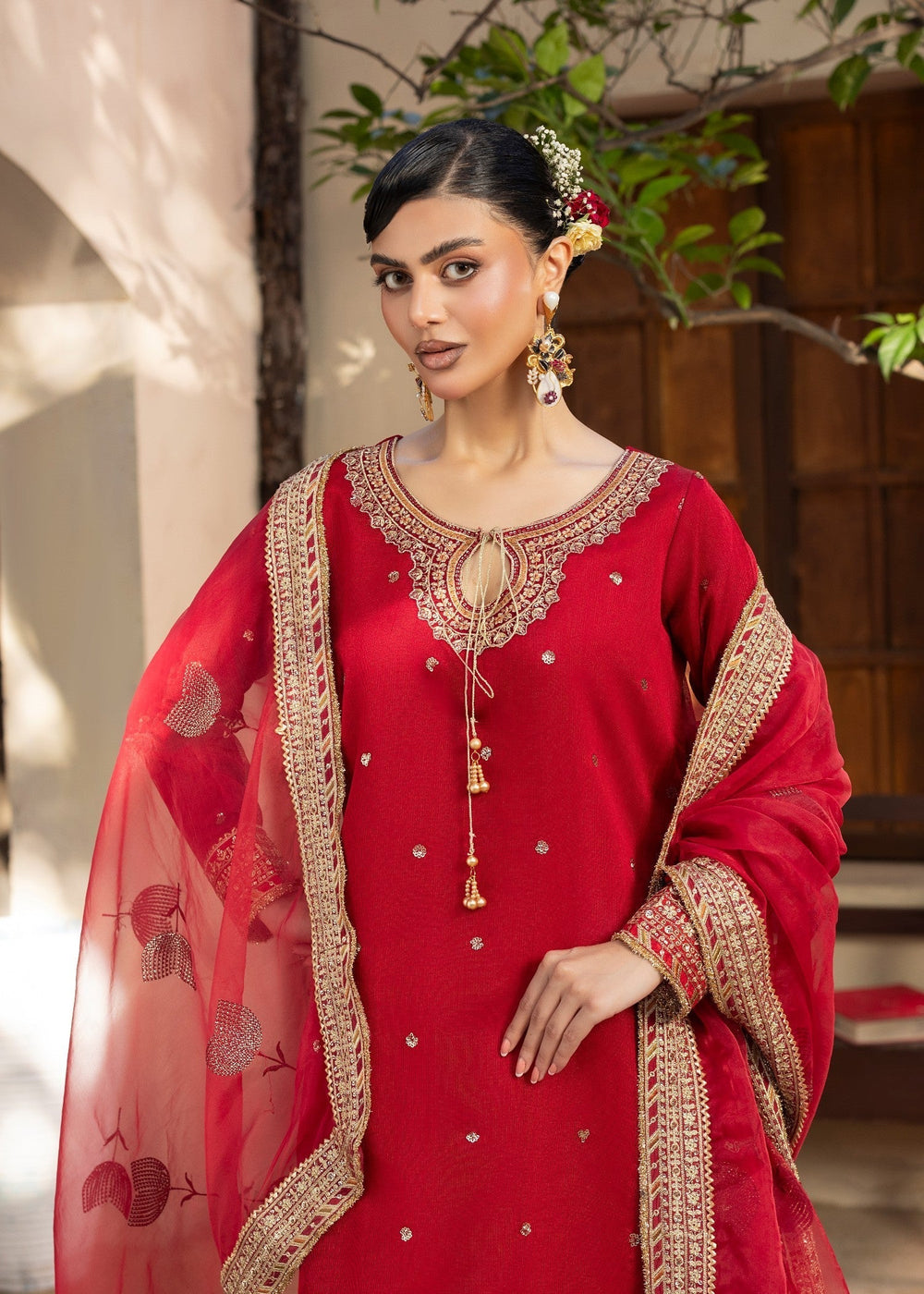 Diara Couture | Rangrez Luxe Pret | DF-46 - RED, image 2