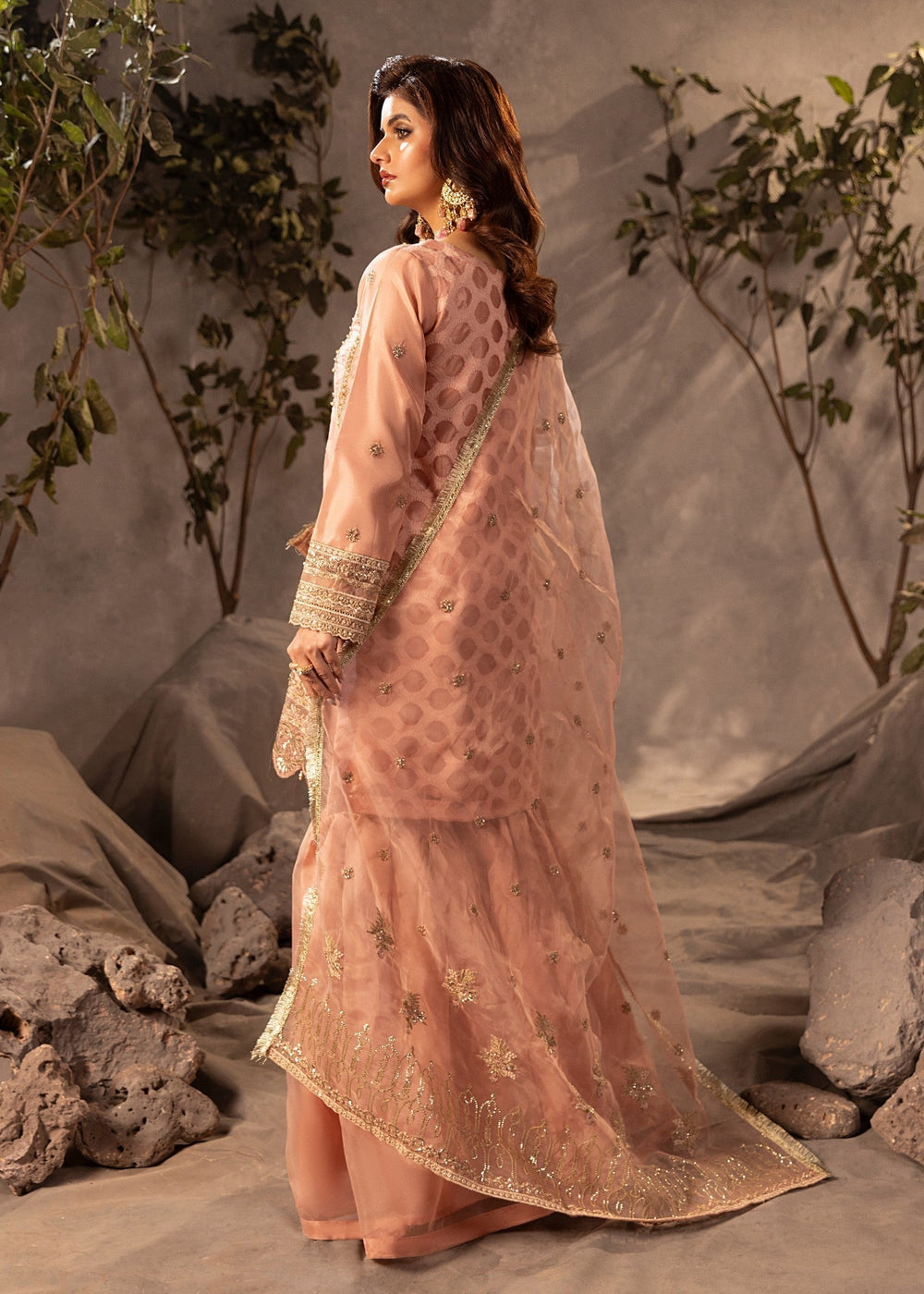 Diara Couture | Tabeer Formals | US-493 - PEACH, image 2