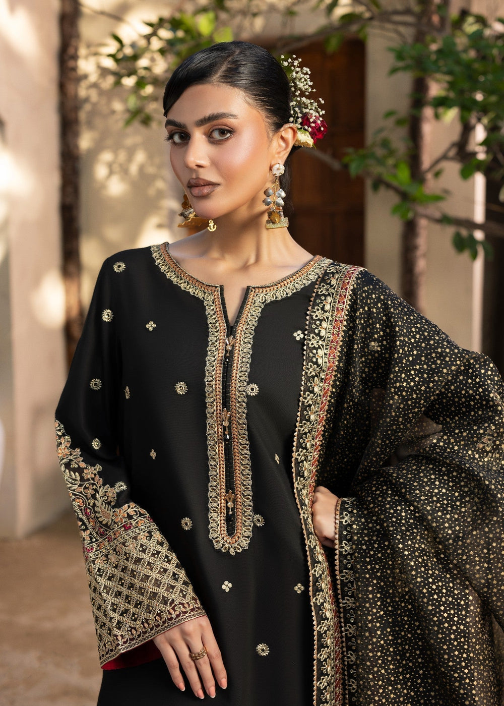 Diara Couture | Rangrez Luxe Pret | DF-48 - BLACK-6