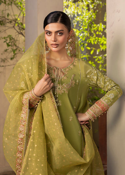 Diara Couture | Rangrez Luxe Pret |  DF-49 - OLIVE GREEN