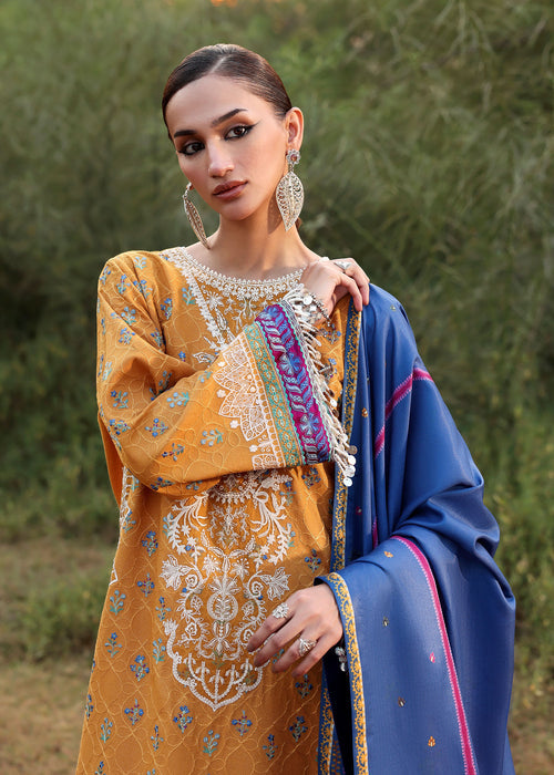 Sadaf Fawad Khan | Winter 25 | Gul Bahar, image 5