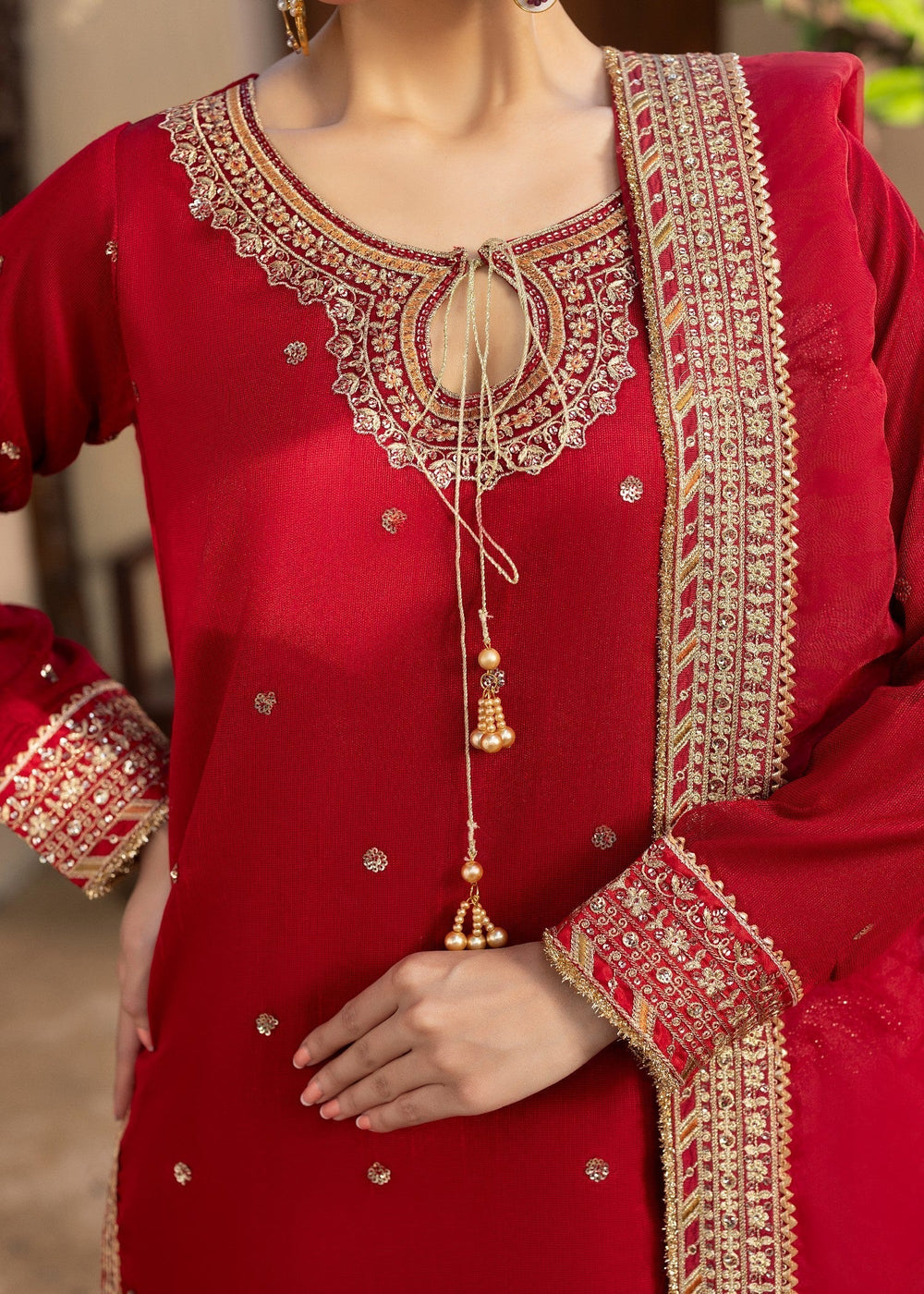 Diara Couture | Rangrez Luxe Pret | DF-46 - RED, image 6