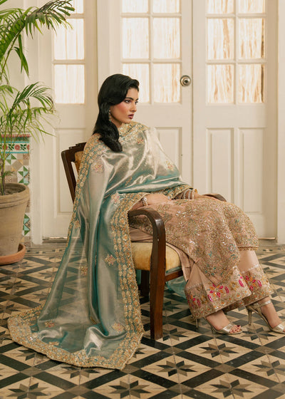 Haseens | Nawabzadi Formals | Baaha