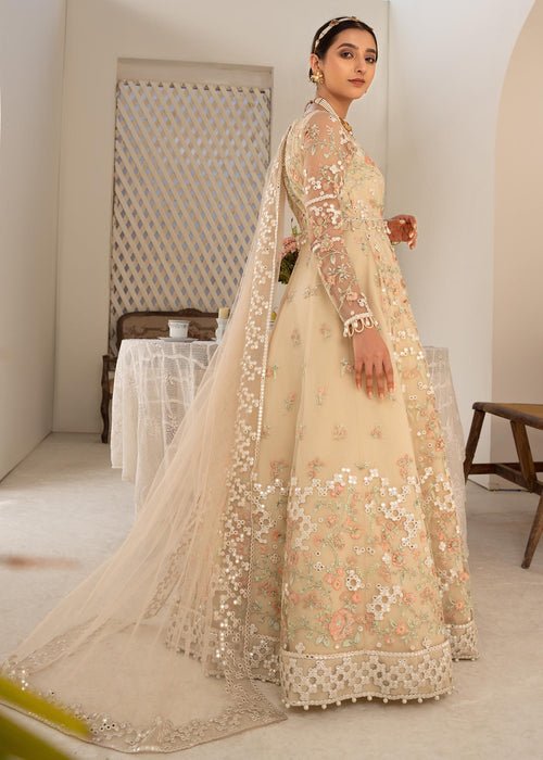 Meeral | Wedding Formals | 140 Skin Stellar-Brand:Meeral-Type:Ladies Clothes-Beige-Net-House of Maryam- Buy in UK, USA
