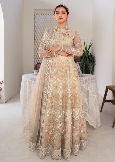 Meeral | Wedding Formals | 140 Skin Stellar-Brand:Meeral-Type:Ladies Clothes-Beige-Net-House of Maryam- Buy in UK, USA