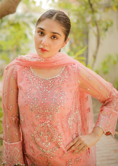 Meeral | Wedding Formals | ML-LUX22V2-16 Leyla-Brand:Meeral-Type:Ladies Clothes-Pink-Net-House of Maryam- Buy in UK, USA