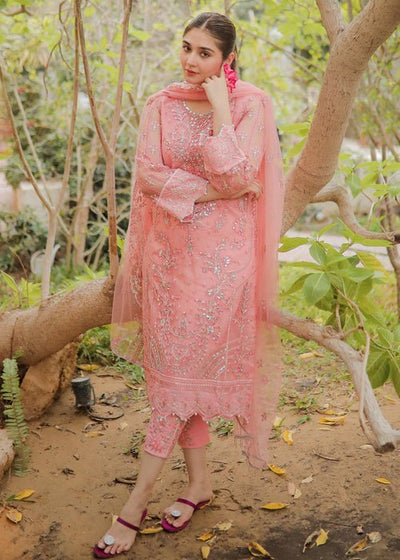 Meeral | Wedding Formals | ML-LUX22V2-16 Leyla-Brand:Meeral-Type:Ladies Clothes-Pink-Net-House of Maryam- Buy in UK, USA