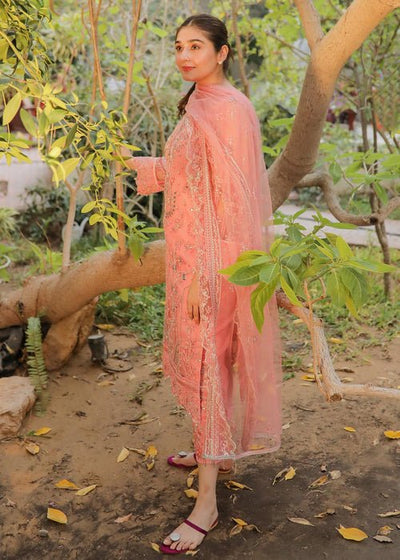 Meeral | Wedding Formals | ML-LUX22V2-16 Leyla-Brand:Meeral-Type:Ladies Clothes-Pink-Net-House of Maryam- Buy in UK, USA