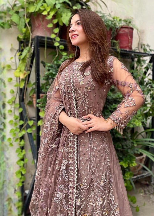 Meeral | Wedding Formals | ML-LUX22V2-30 Raya-Brand:Meeral-Type:Ladies Clothes-Dusty Pink-Net-House of Maryam- Buy in UK, USA