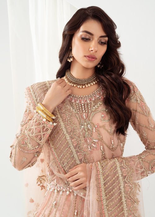 Meeral | Wedding Formals | ML-LUX22V2-5 Dilara-Brand:Meeral-Type:Ladies Clothes-Peach Pink-Net-House of Maryam- Buy in UK, USA