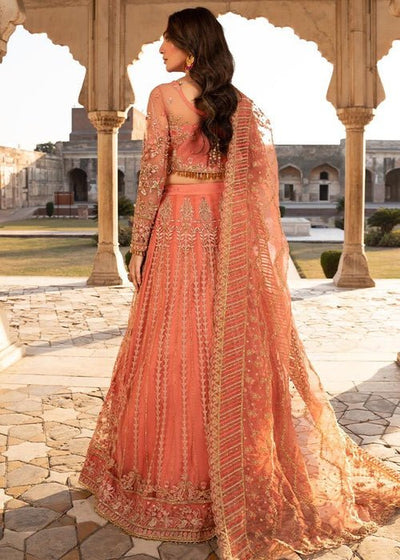 Meeral | Wedding Formals | Naghma-Brand:Meeral-Type:Ladies Clothes-Coral-Organza-House of Maryam- Buy in UK, USA