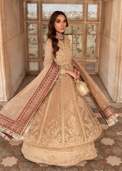 Meeral | Wedding Formals | Raqs-Brand:Meeral-Type:Ladies Clothes-Gold-Organza-House of Maryam- Buy in UK, USA