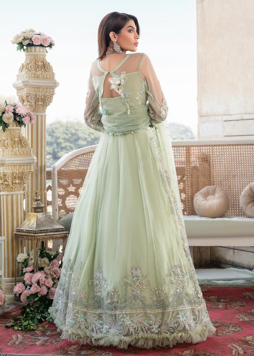 Meeral | Wedding Formals | Shabnam - MB-01-Brand:Meeral-Type:Ladies Clothes-Mint-Net-House of Maryam- Buy in UK, USA