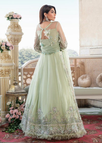 Meeral | Wedding Formals | Shabnam - MB-01-Brand:Meeral-Type:Ladies Clothes-Mint-Net-House of Maryam- Buy in UK, USA