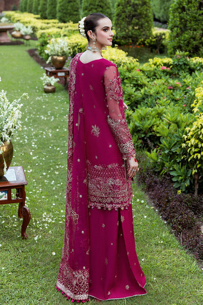 Shagna | Mehfil Festive Formals | SF-03- MAHER