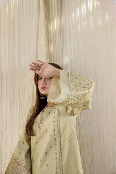 Rajwani | Sohani Casual Pret | MINT GOLD -  Rajwani Ladies Clothes - Original Designer Dress - House of Maryam