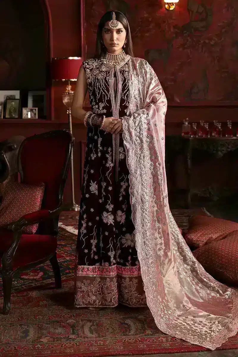 Mushq | Niloufer Velvet Edit 23 | Golnar by Designer Mushq - House of Maryam - Pakistani Designer Ethnic Wear in {{ shop.shopifyCountryName }}