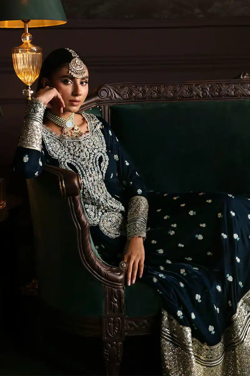 Mushq | Niloufer Velvet Edit 23 | Royan by Designer Mushq - House of Maryam - Pakistani Designer Ethnic Wear in {{ shop.shopifyCountryName }}