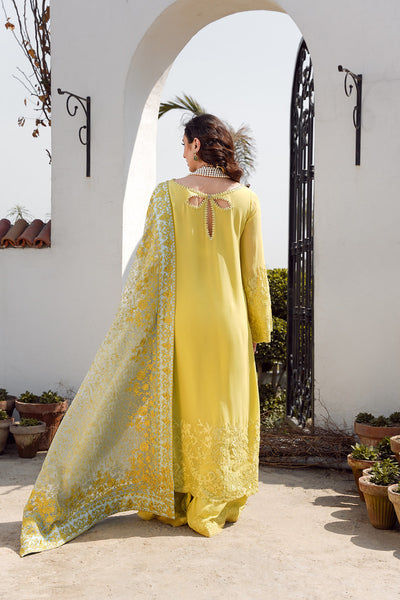 Nilofer Shahid | Verve Summer 24 | Evara (3pc)  Verve SS 24 -  Nilofer Shahid Formal - Original Designer Dress - House of Maryam