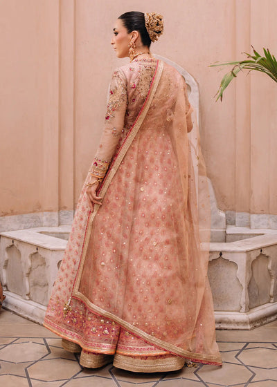 Jeem | Amaltaas Wedding Formals 26 | ORCHID PINK