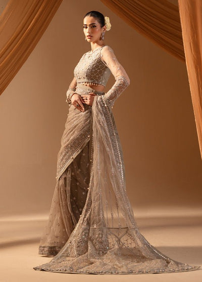 Paras by Pasha | Noor -e- Jahan Saree Collection | Abr-e-Shaam-Brand:Paras by Pasha-Type:Ladies Clothes-Gray-Net-House of Maryam- Buy in UK, USA