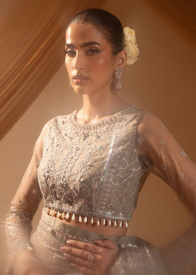 Paras by Pasha | Noor -e- Jahan Saree Collection | Abr-e-Shaam-Brand:Paras by Pasha-Type:Ladies Clothes-Gray-Net-House of Maryam- Buy in UK, USA