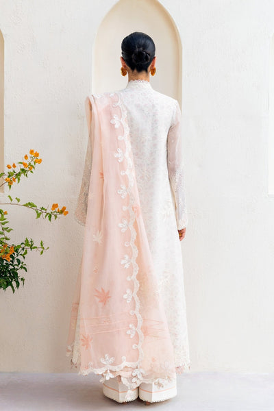 Qalamkar | Casual Pret '26 | PA-05 Veil-Brand:Qalamkar-Type: - House of Maryam- Buy in UK, USA