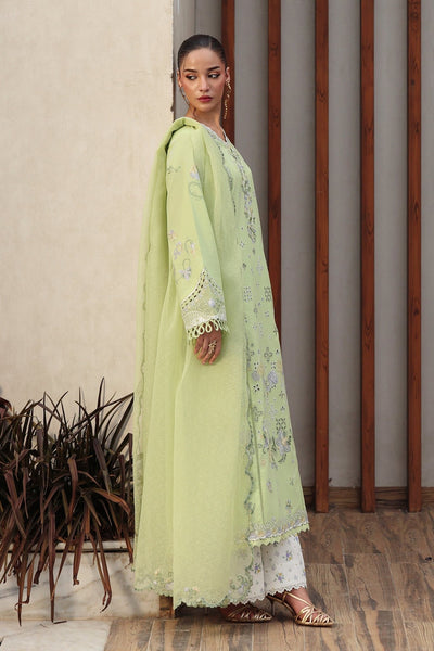 Qalamkar | Qline Lawn Drop II RTW | QKL-05 Ayana-Brand:Qalamkar-Type: - House of Maryam- Buy in UK, USA