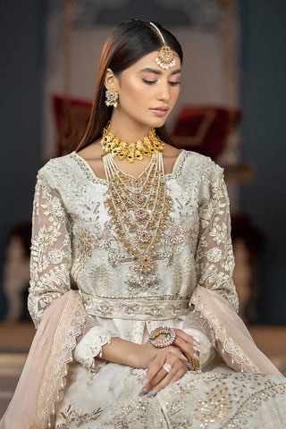 Raeesa Premium | LUXURY COLLECTION 23 | HU-2005 -  Raeesa Premium Luxury - Original Designer Dress - House of Maryam