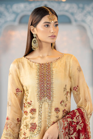 Raeesa Premium | LUXURY COLLECTION 23 |  HU-2007 -  Raeesa Premium Luxury - Original Designer Dress - House of Maryam