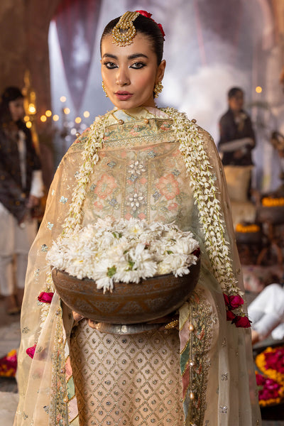 Raeesa Premium | Saf e Awwal Wedding Formals | D-3 -  Raeesa Premium Bridal - Original Designer Dress - House of Maryam