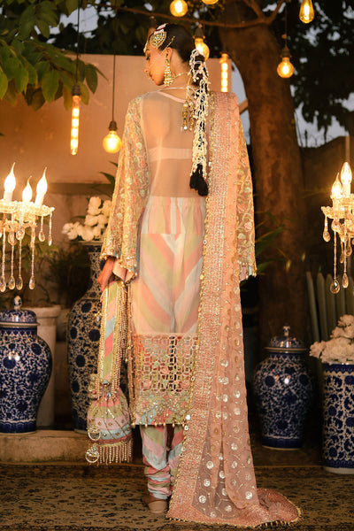 Raeesa Premium | Wajadan Wedding Formals | WD-6 Powder Peach -  Raeesa Premium Bridal - Original Designer Dress - House of Maryam