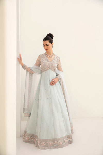 Raja Salahuddin | The Wishlist | YARA -  Raja Salahuddin Formal - Original Designer Dress - House of Maryam