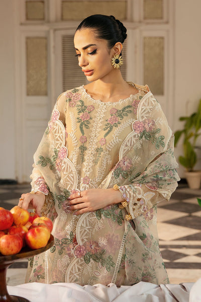Ramsha | Dastak Luxury Chiffon Collection | Q-105-Brand:Ramsha-Type:Ladies Clothes-Beige-Chiffon-House of Maryam- Buy in UK, USA