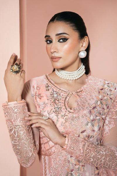 Ramsha | Rangeen Collection | PS-107-Brand:Ramsha-Type:Ladies Clothes-Peach Pink-Net-House of Maryam- Buy in UK, USA