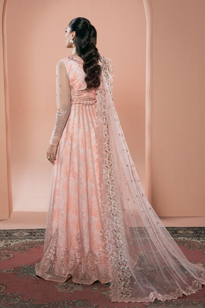 Ramsha | Rangeen Collection | PS-107-Brand:Ramsha-Type:Ladies Clothes-Peach Pink-Net-House of Maryam- Buy in UK, USA