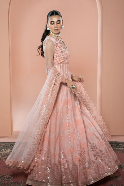 Ramsha | Rangeen Collection | PS-107-Brand:Ramsha-Type:Ladies Clothes-Peach Pink-Net-House of Maryam- Buy in UK, USA
