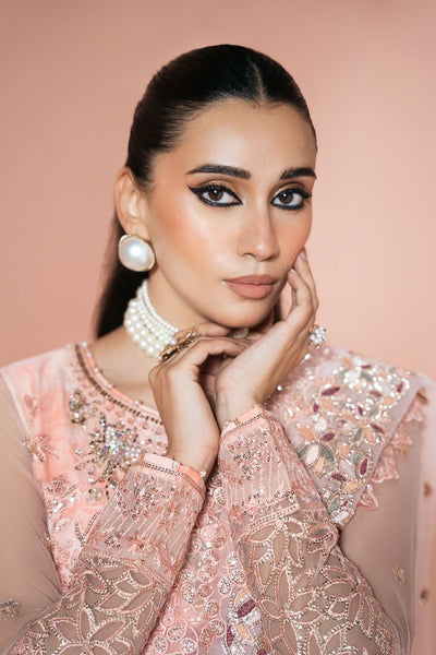 Ramsha | Rangeen Collection | PS-107-Brand:Ramsha-Type:Ladies Clothes-Peach Pink-Net-House of Maryam- Buy in UK, USA