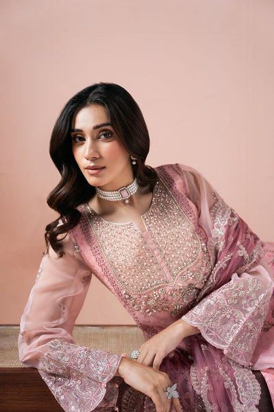 Ramsha | Rangeen Organza | PS-104