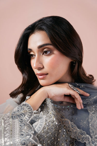 Ramsha | Rangeen Organza | PS-106