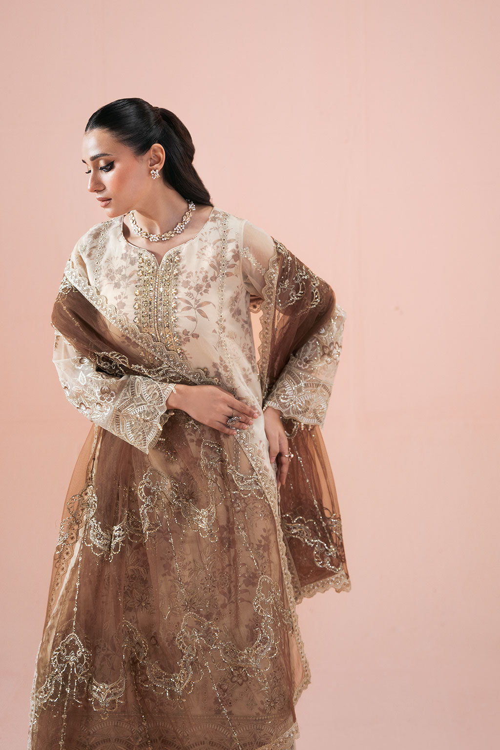 Ramsha | Rangeen Organza | PS-102, image 4