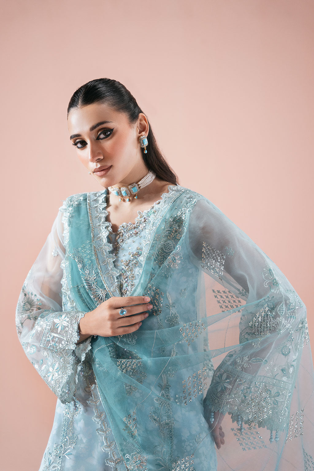 Ramsha | Rangeen Organza | PS-108, image 5