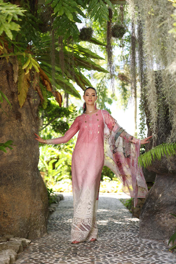 Noor by Saadia Asad | Luxury Chikankari Lawn24 | D1-A Pink Ombre -  Noor by Saadia Asad Luxury - Original Designer Dress - House of Maryam
